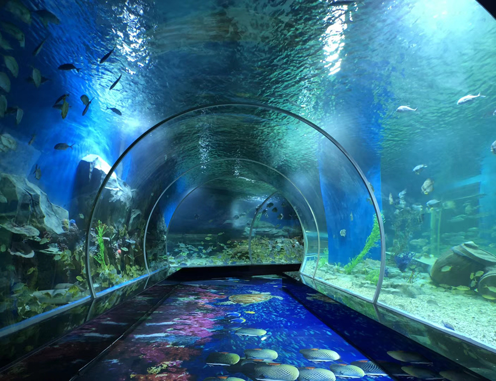 水族館弧形板