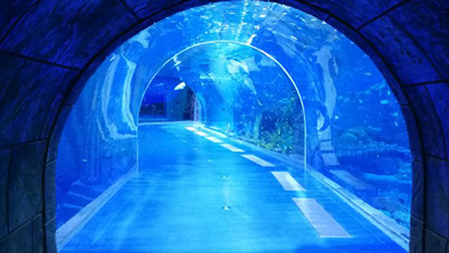 透明海底隧道，保護(hù)海洋環(huán)境