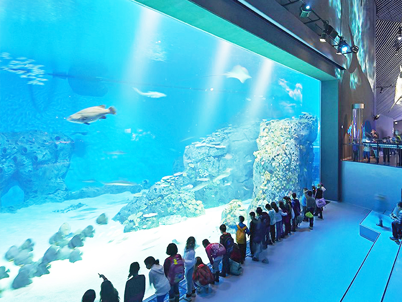 海洋館工程的海水來(lái)源是什么？