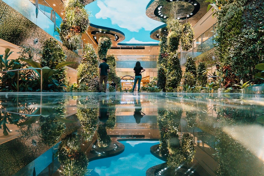 案例賞析 | 湯臣為新加坡樟宜機(jī)場(chǎng)Dreamscap打造亞克力魚(yú)池